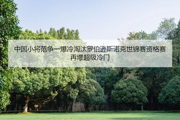 zhong-guo-xiao-jiang-fan-zheng-yi-bao-leng-tao-tai-luo-bo-xun-si-nuo-ke-shi-jin-sai-zi-ge-sai-zai-bao-chao-ji-leng-men-2-453.jpg