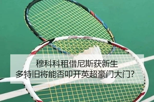 mu-ke-ke-zu-jie-ni-si-huo-xin-sheng-duo-te-jiu-jiang-neng-fou-kou-kai-ying-chao-hao-men-da-men-2-609.jpg